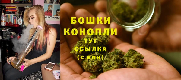 дурь Касимов