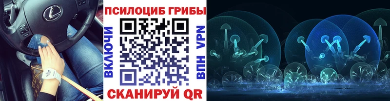 Купить  Хабаровск  Псилоцибиновые грибы Magic Shrooms 